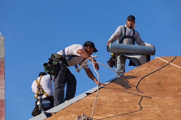 Best Local Roofing Companies  in Columbus Grove, OH