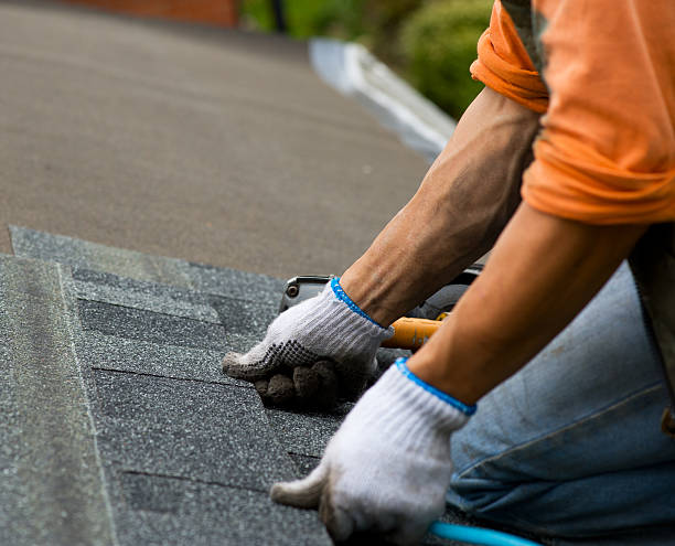 Best Roof Leak Repair  in Columbus Grove, OH